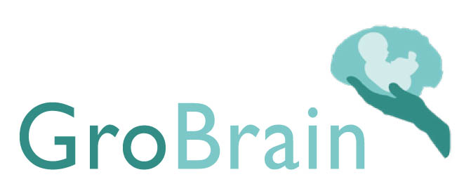 GoBrain Toddler group logo