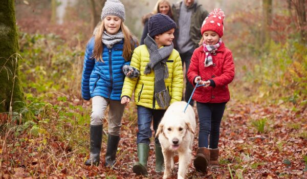 Children walking their dog with parents