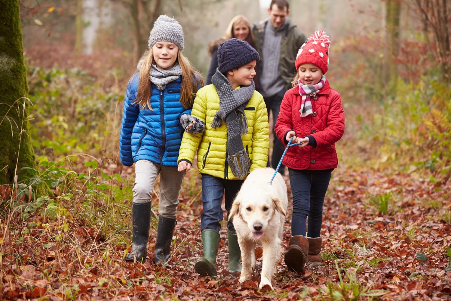Children walking their dog with parents